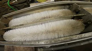 AquaMagic Egg Washer Brush Replacement