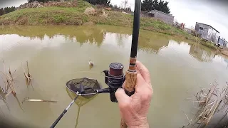 Winter Fishing with a Float and Maggots