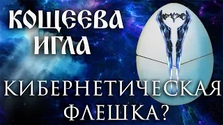 КОЩЕЕВА ИГЛА - Кибернетическая Флешка?