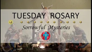 Tuesday Rosary • Sorrowful Mysteries of the Rosary 💜 Nativity