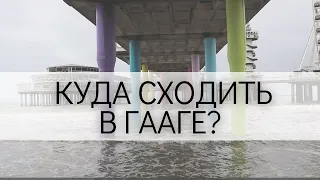 Влог 72. Лучший рыбный ресторан в Нидерландах. Как провести семенйый день в Гааге?