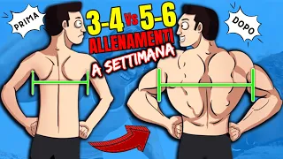 🤔 Quanti ALLENAMENTI a SETTIMANA per METTERE MASSA? Meglio 3,4,5 o 6 WORKOUT?