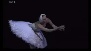 バレエ「瀕死の白鳥」ウリヤーナ・ロパートキナ/"Dying Swan" Uliana Lupatkina 2003