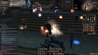 L2 Damage PvP