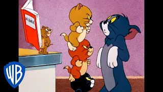 Tom & Jerry in italiano | A Casa Ma Non Soli | WB Kids