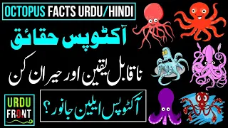 Octopus Facts | Bizzare and True Facts About The Octopus | Urdu/Hindi