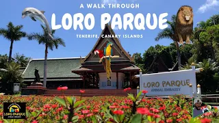 A Walk Through Loro Parque - Tenerife, Canary Islands in 4K | VLOG