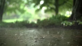 Reklamsız 3 Saatlik, Rahatlatıcı Yağmur Sesi (Gök gürültüsüz yağmur sesi)