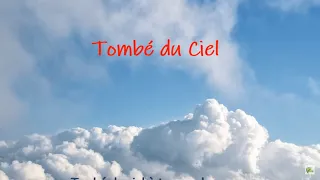 Tombé du Ciel  -  Jacques Higelin   (Paroles)