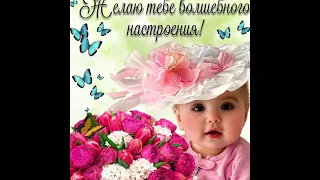 Солнечного настроения!🥰🥰🥰🥰