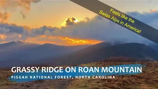 Grassy Ridge Bald on Roan Mountain Hike | Pisgah & Cherokee National Forest | Swiss Alps in America