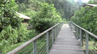 Borneo   Danum Valley   Borneo Rainforest Lodge #1   13 May 2017