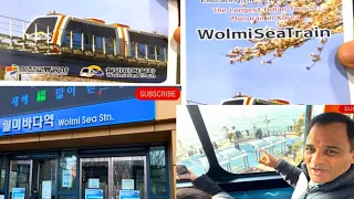 Wolmi Sea Train: Look Around Island with the slow Monorail  south korea travel