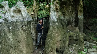 2 DAYS solo survival CAMPING. Building Survival Shelter under the Cliff, Catch snails and Cooking