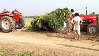 Tractors Stuck in Mud 2017 part 2