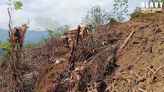 Excellent work for Caterpillar D6R XL bulldozer operators working to clean plantations