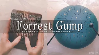 포레스트검프 스틸텅드럼&칼림바연주 Forrest Gump Theme kalimba & Tongue drum cover