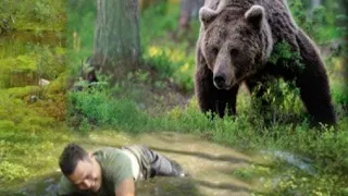 Mężczyzna jęczał po wypadku, na pomoc przyszedł mu niedźwiedź!