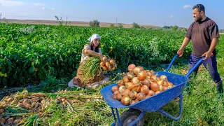 Heavy rain in the village! Harvesting Lots of Onions and 3 Delicious Presentations for Dinner!