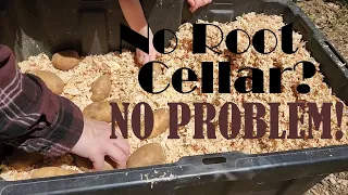 No Root Cellar? Learn a Simple Way to Store Potatoes!