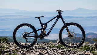 The most dreamy bike I have ever built? Propain Rage Downhill Bike!