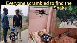 Everyone scrambled to find the snake 🐍 🙄 #funny #youtubevideos #shorts