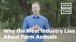 What the Meat Industry Doesn't Want You to Know About Farm Animals | Opinions | NowThis