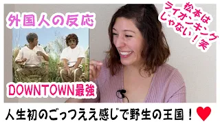 【外国人の反応】人生初のごっつええ感じで「野生の王国」観た！松本さんライオンキングかと思った笑笑