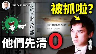 王思聰傳被抓，還有誰要發抖？政府賣地收入暴跌、財政或先於病毒被清零，「一刀切」的關頭近了（文昭談古論今20220429第1083期）