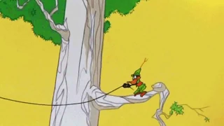 Daffy Duck hits tree