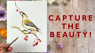 How To Paint A Watercolour Waxwing Bird!