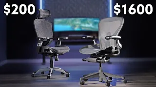 Cheap vs. Expensive Mesh Chairs (and which to buy)