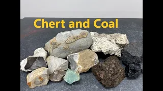 Rock Identification with Willsey: Sedimentary Rocks (Chert and Coal)