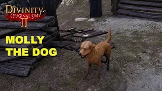 Molly the dog in Driftwood Port (Divinity Original Sin 2)