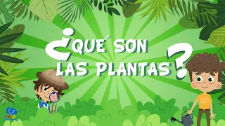 ¿QUÉ SON LAS PLANTAS? | Vídeos Educativos para Niños