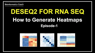 RNA Seq deseq  tutorial & visualization |  heatmaps