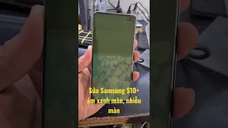 Sửa Samsung S10+ xanh màn hình. Ép cổ cáp màn hình Samsung S10 plus. LH 0902612397