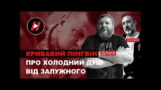 Кривавий пінгвін, холодний душ Залужного, новий суспільний договір про мобілізацію - Дикий і Лиховій