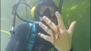 Found Biggest Chain Gold Rings Ammunition & Cash River Treasure Hookah Dive