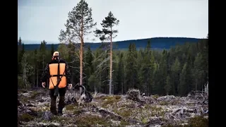 JaktVlogg 7 - Björnjakt i Idre!