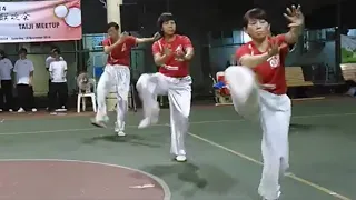 Chen Taiji Laojia 13 Form 陈式老架十三式