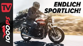 Weniger Retro, mehr Sport! - Triumph Speed Twin 2021 Test