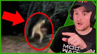 Royal Marine Reacts To 5 Mysterious Creatures Caught On Camera : Top 5 STRANGE Creatures