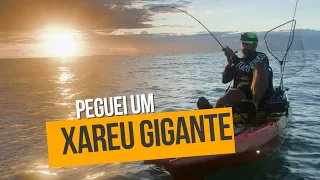 PEGUEI UM XAREU AMARELO GIGANTE