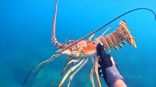 How to CATCH LOBSTER and LOTS/know great fishing spots