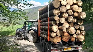 Holztransport in Südtirol mit Valtra T 175 und Este Forstanhänger