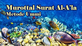 Murottal Surat Al A'la Metode Ummi