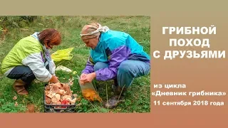 Грибной поход с друзьями. Дневник грибника 11 сентября 2018 года.