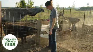 What Happens When The Farmer Gets Sick? - Blooper Reel At The End...