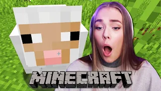 Dyreelsker dreper sauer i Minecraft #1